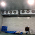 Hot Selling Cold Room/Cold Storage